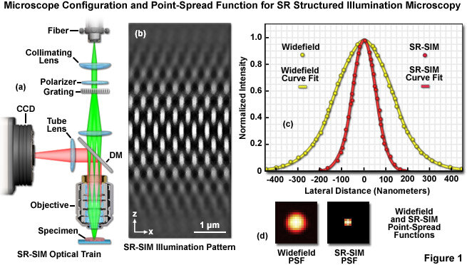 Super Resolution Microscopy (STED, SIM, PALM, STORM)